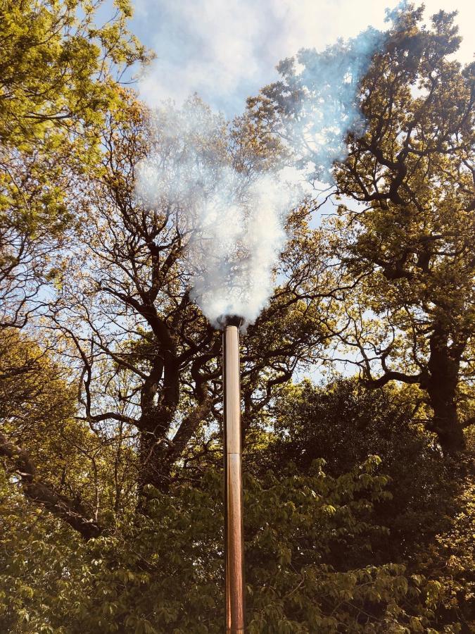 Somerleyton Meadows - The Hideaway Hut & Hot Tub Herringfleet Exteriör bild